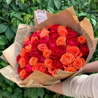 51 микс Вау и Мирна. 40-50см, 2 сорт. Упаковка оплачивается отдельно