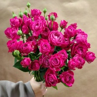 Спрей Марвелос Баблз (пионовидная)