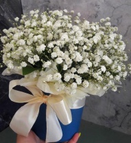 Шляпная коробочка с гипсофилой