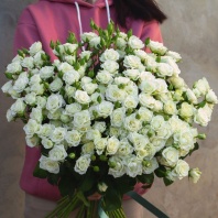 Спрей Сноуфлейк