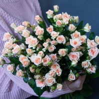 Спрей Свит Сара