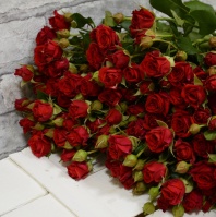 Спрей Мирабель