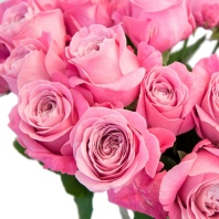 Олл фо Лав (пионовидная)