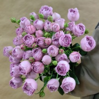 Спрей Лавендер Баблз (пионовидная)