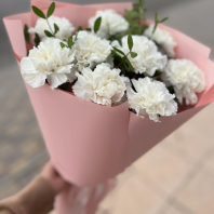 Букет из 9 диантусов с зеленью. Диантусы разных цветов в ассортименте 