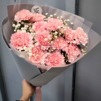 Букет из 13 диантусов с гипсофилой